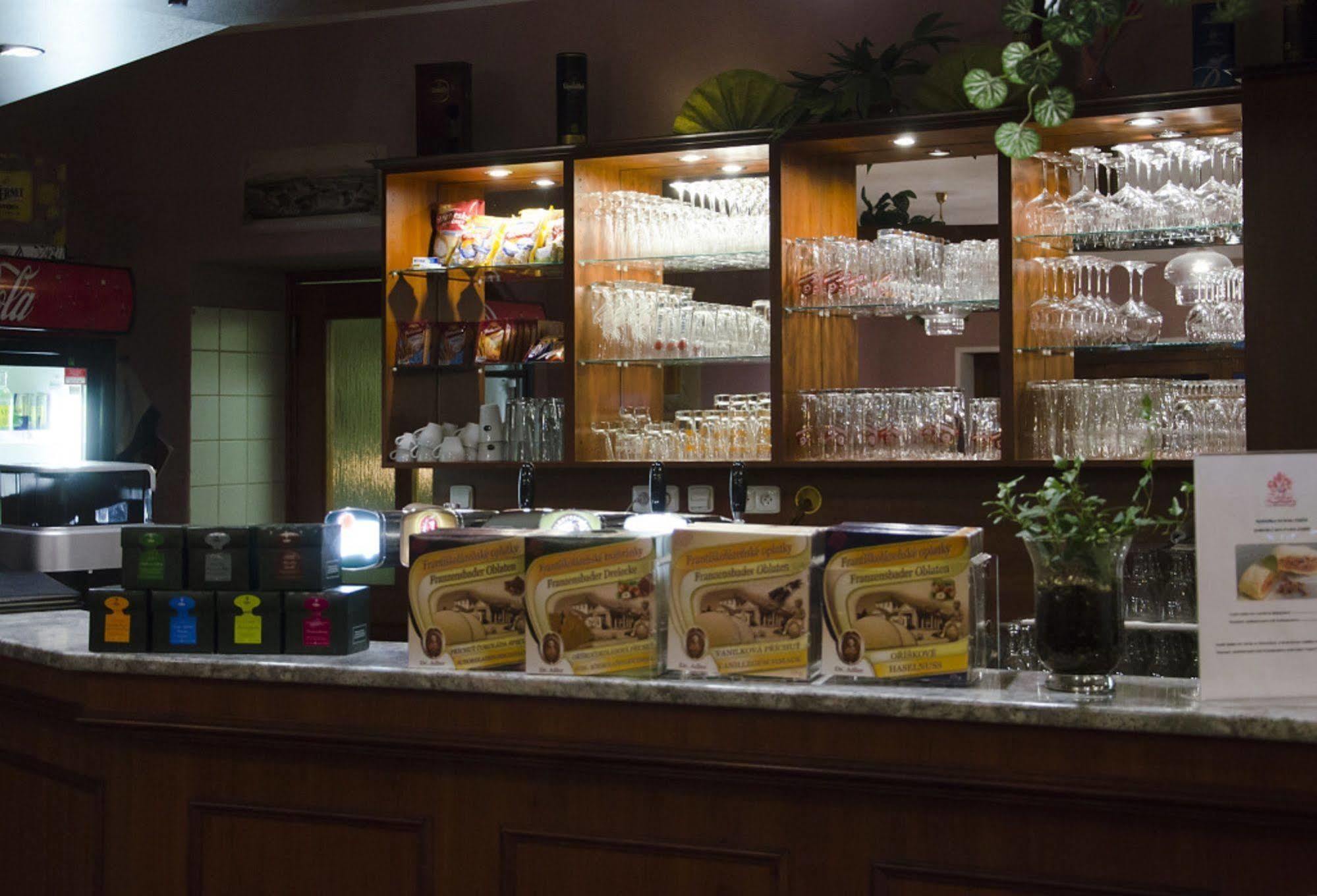 扎提斯弗朗齐谢克拉则尼酒店 Františkovy Lázně 外观 照片